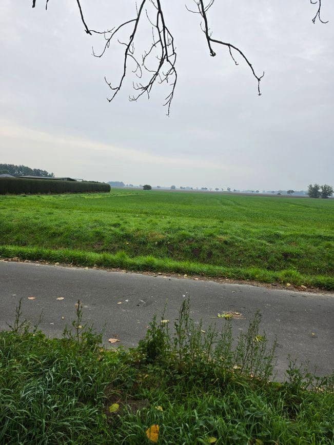 Prodej pozemku 1.298 m², Zehlen 4, Bergen auf Rügen, Mecklenburg-Vorpommern Prodej pozemku 1.298 m², Zehlen 4, Bergen auf Rügen, Mecklenburg-Vorpommern
