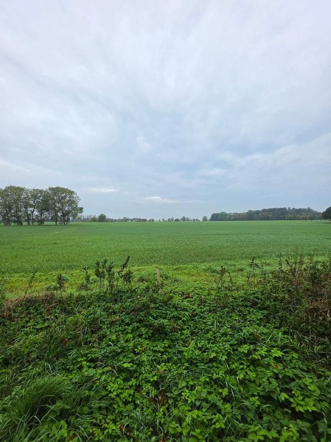 Prodej pozemku 1.298 m², Zehlen 4, Bergen auf Rügen, Mecklenburg-Vorpommern Prodej pozemku 1.298 m², Zehlen 4, Bergen auf Rügen, Mecklenburg-Vorpommern