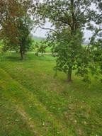 Prodej pozemku 1.298 m², Zehlen 4, Bergen auf Rügen, Mecklenburg-Vorpommern Prodej pozemku 1.298 m², Zehlen 4, Bergen auf Rügen, Mecklenburg-Vorpommern