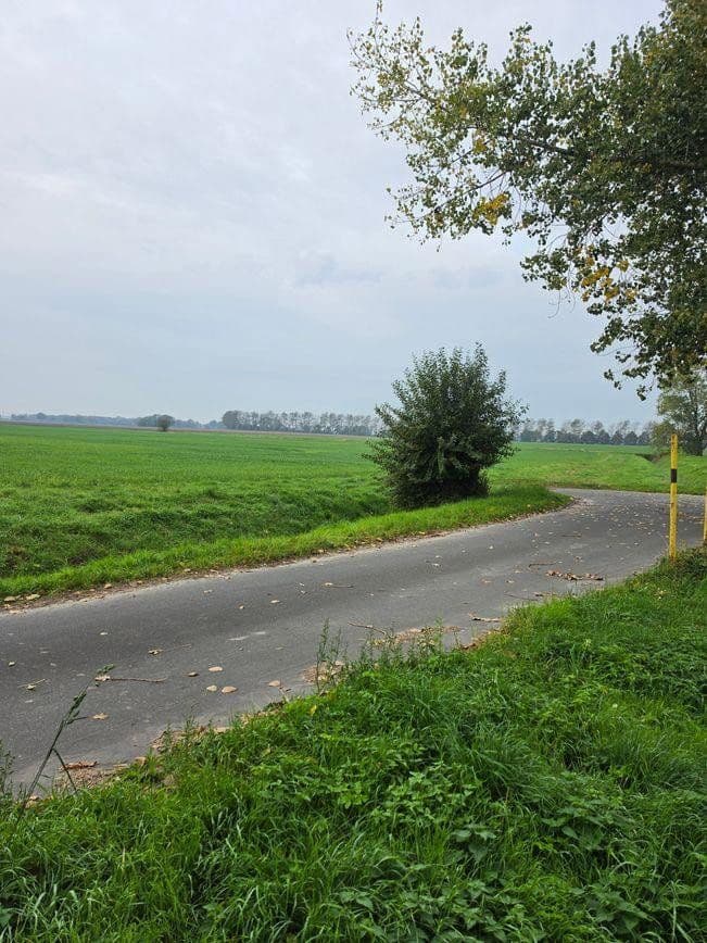 Prodej pozemku 1.298 m², Zehlen 4, Bergen auf Rügen, Mecklenburg-Vorpommern Prodej pozemku 1.298 m², Zehlen 4, Bergen auf Rügen, Mecklenburg-Vorpommern