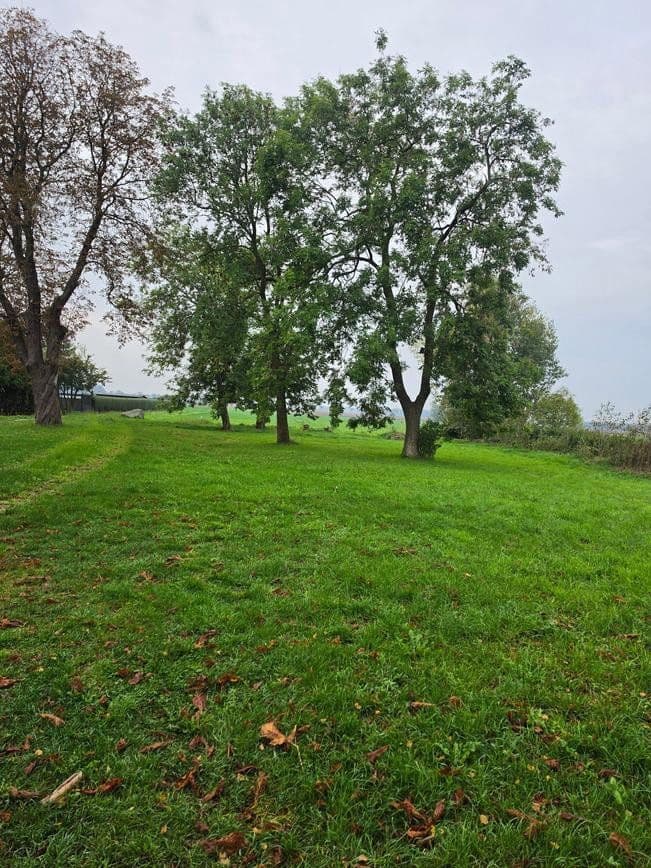 Prodej pozemku 1.298 m², Zehlen 4, Bergen auf Rügen, Mecklenburg-Vorpommern Prodej pozemku 1.298 m², Zehlen 4, Bergen auf Rügen, Mecklenburg-Vorpommern