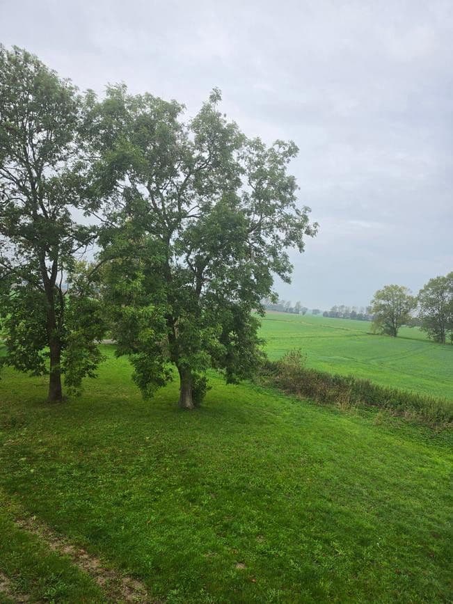 Prodej pozemku 1.298 m², Zehlen 4, Bergen auf Rügen, Mecklenburg-Vorpommern Prodej pozemku 1.298 m², Zehlen 4, Bergen auf Rügen, Mecklenburg-Vorpommern