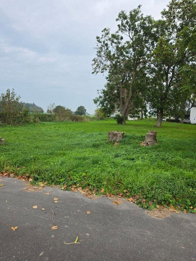 Prodej pozemku 1.298 m², Zehlen 4, Bergen auf Rügen, Mecklenburg-Vorpommern Prodej pozemku 1.298 m², Zehlen 4, Bergen auf Rügen, Mecklenburg-Vorpommern