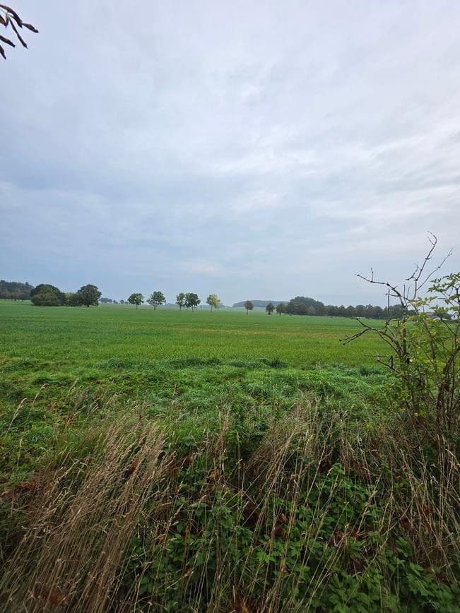 Prodej pozemku 1.298 m², Zehlen 4, Bergen auf Rügen, Mecklenburg-Vorpommern Prodej pozemku 1.298 m², Zehlen 4, Bergen auf Rügen, Mecklenburg-Vorpommern