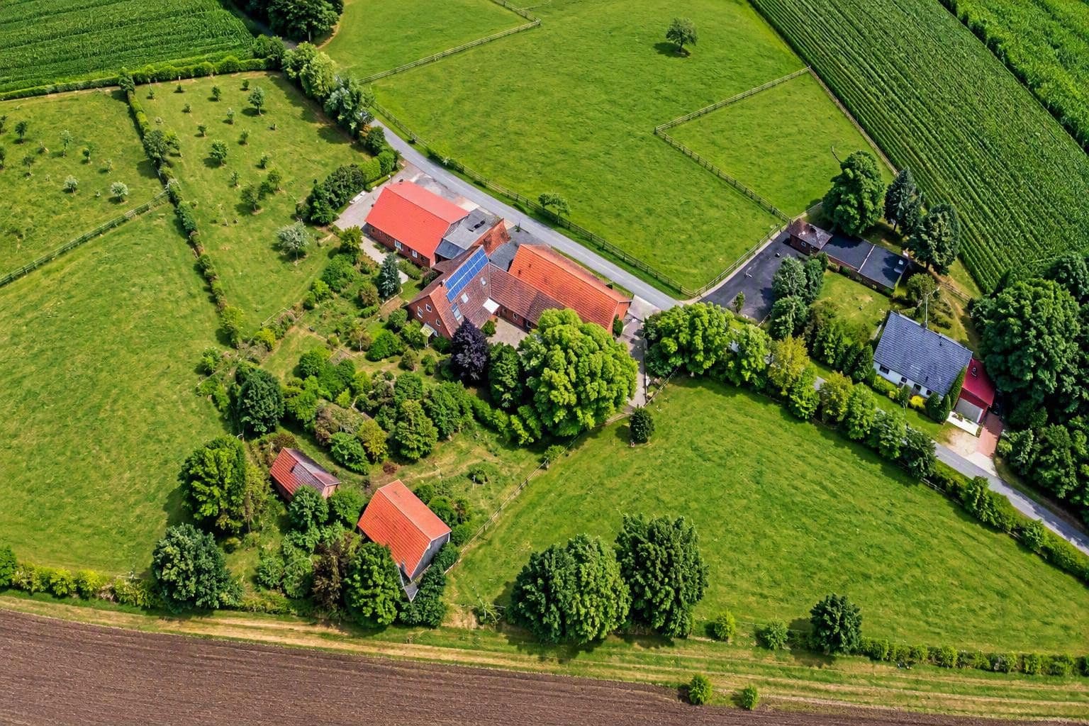 Prodej domu 378 m², pozemek 6.400 m², Wagenfeld, Dolní Sasko Prodej domu 378 m², pozemek 6.400 m², Wagenfeld, Dolní Sasko