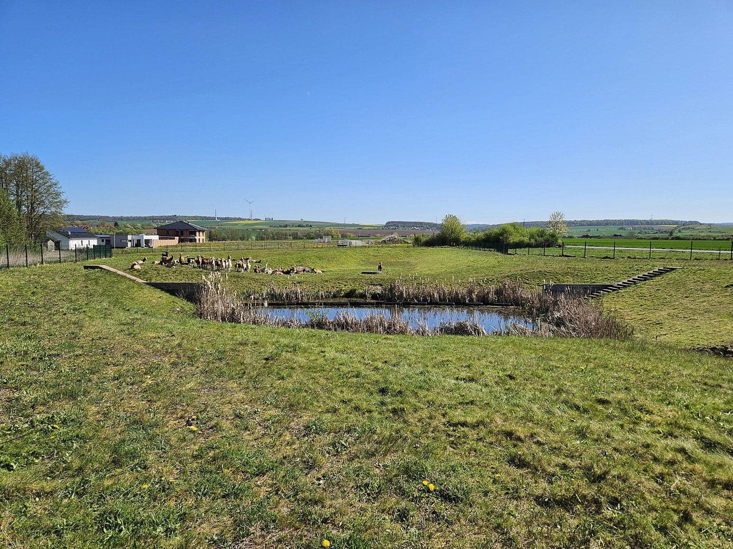 Prodej pozemku 751 m², Offenbergblick 16, Hofgeismar, Hessen Prodej pozemku 751 m², Offenbergblick 16, Hofgeismar, Hessen
