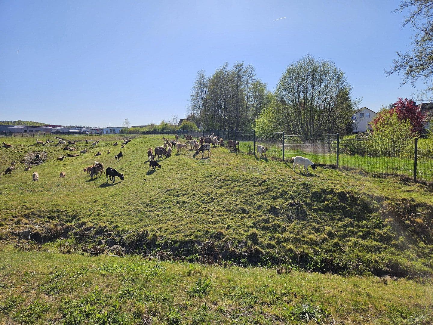 Prodej pozemku 751 m², Offenbergblick 16, Hofgeismar, Hessen Prodej pozemku 751 m², Offenbergblick 16, Hofgeismar, Hessen