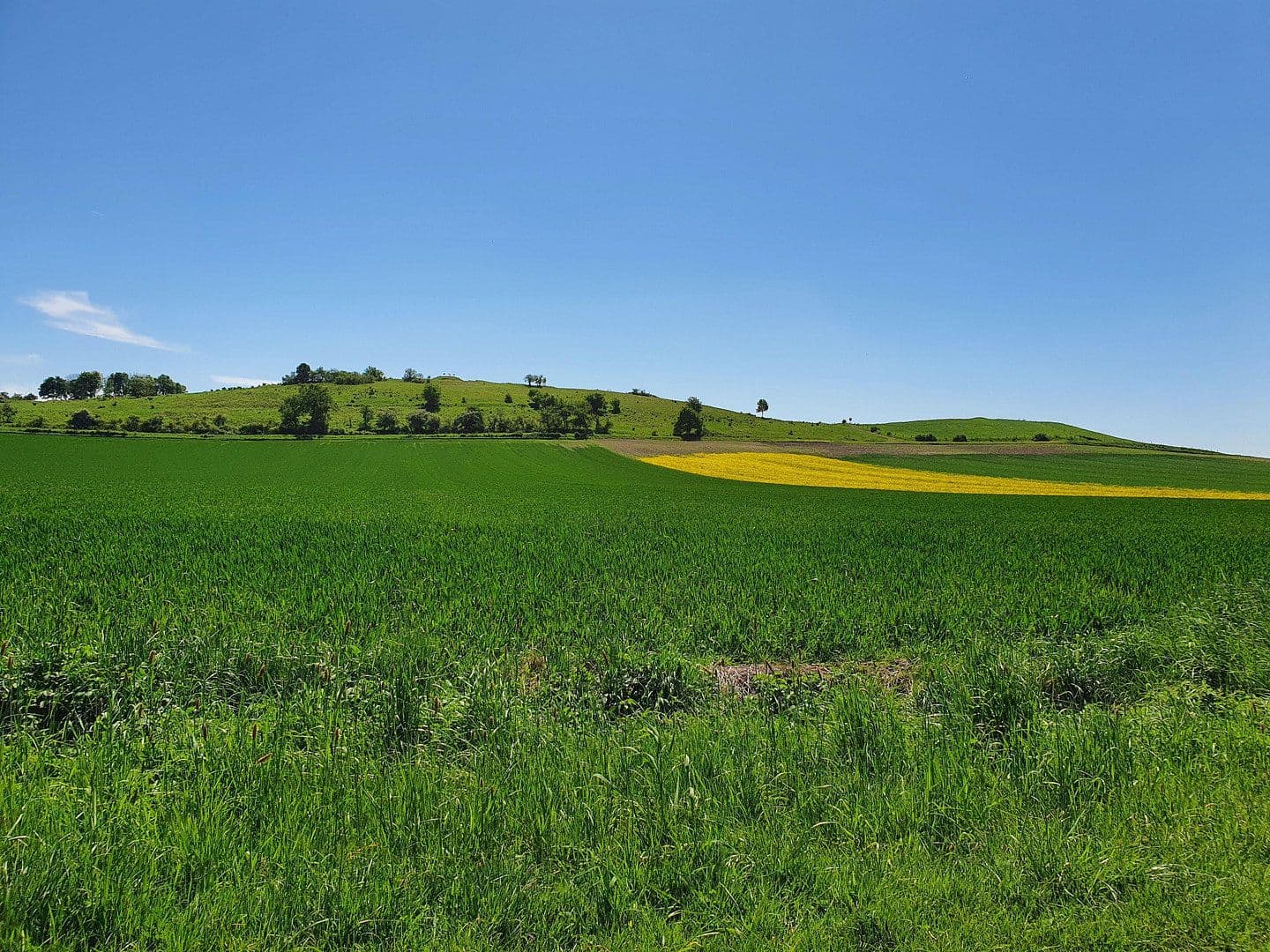 Prodej pozemku 751 m², Offenbergblick 16, Hofgeismar, Hessen Prodej pozemku 751 m², Offenbergblick 16, Hofgeismar, Hessen