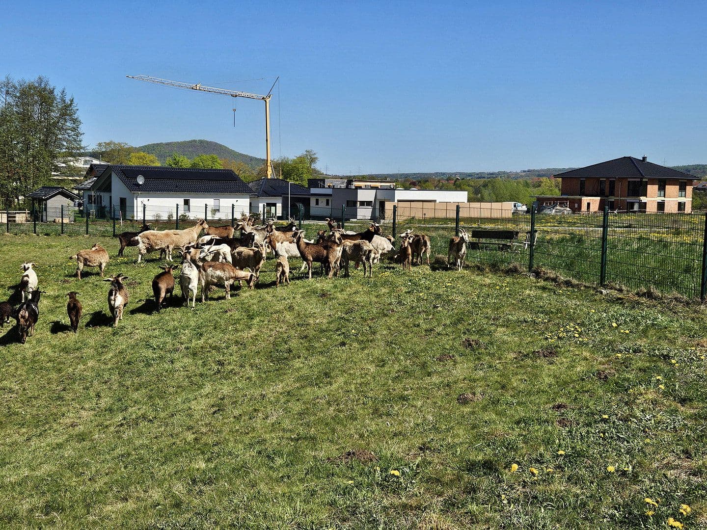 Prodej pozemku 751 m², Offenbergblick 16, Hofgeismar, Hessen Prodej pozemku 751 m², Offenbergblick 16, Hofgeismar, Hessen