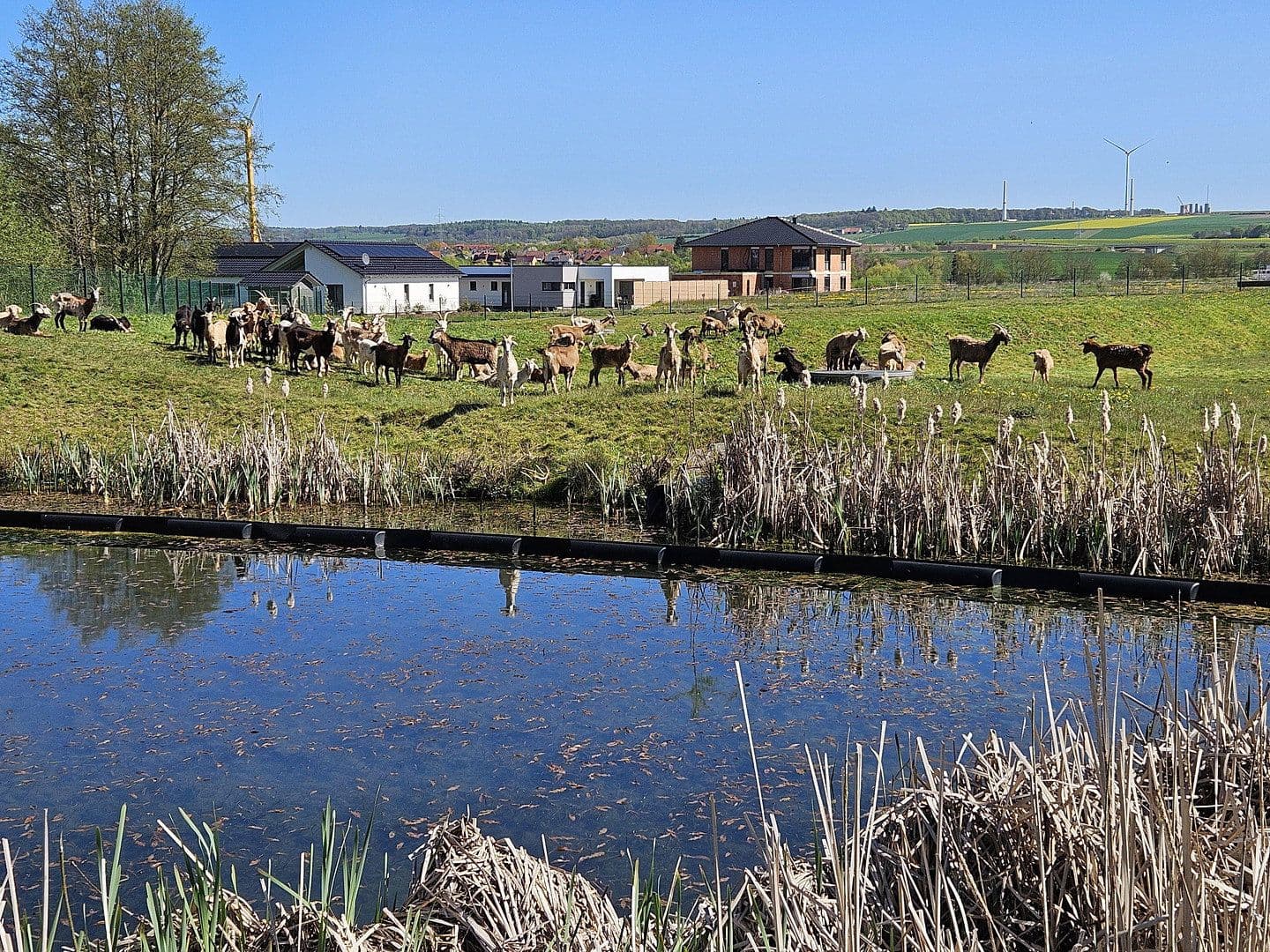 Prodej pozemku 751 m², Offenbergblick 16, Hofgeismar, Hessen Prodej pozemku 751 m², Offenbergblick 16, Hofgeismar, Hessen