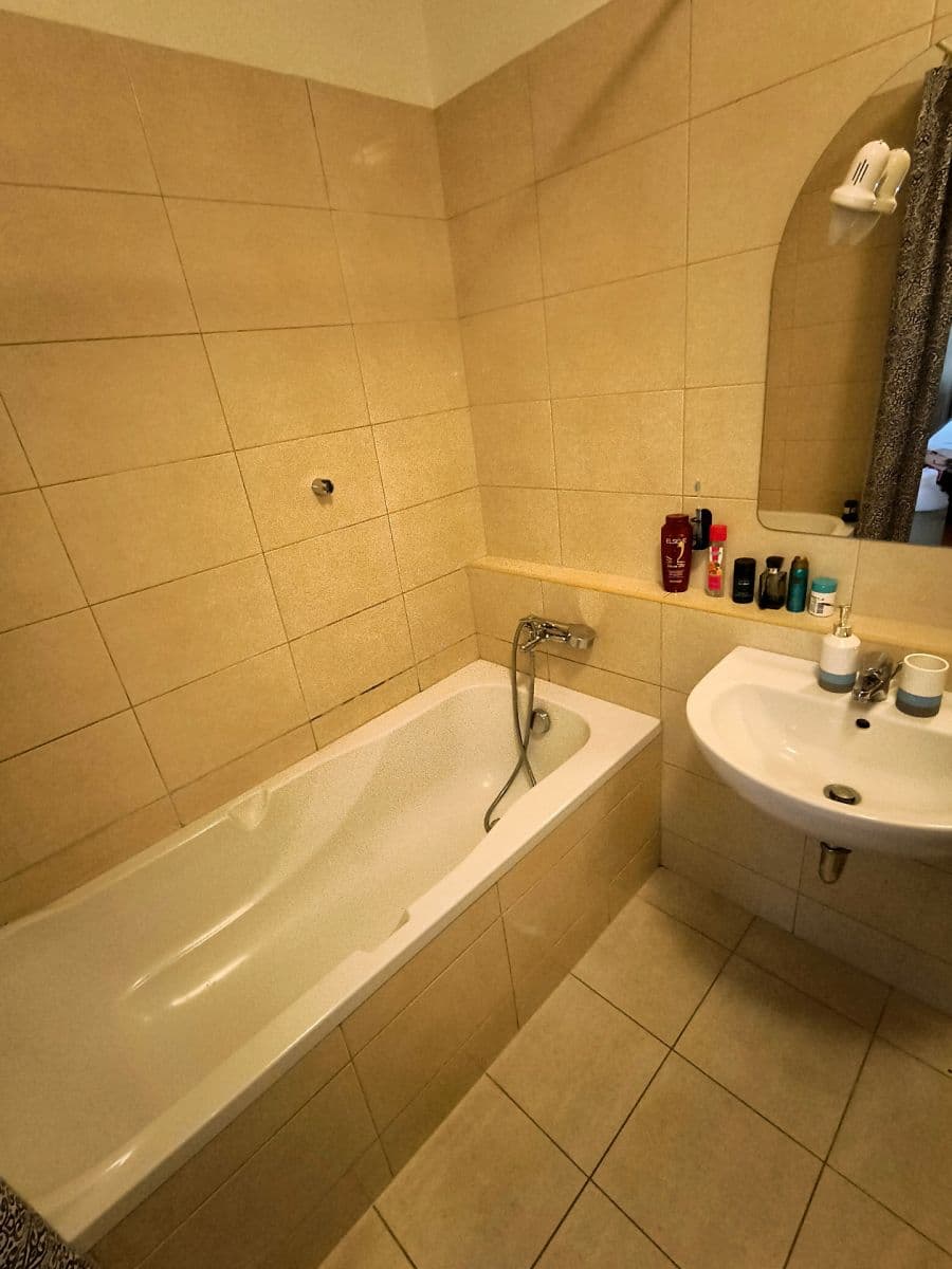 Pronájem bytu 1+kk 47 m², Varhulíkové, Praha, Praha Pronájem bytu 1+kk 47 m², Varhulíkové, Praha, Praha
