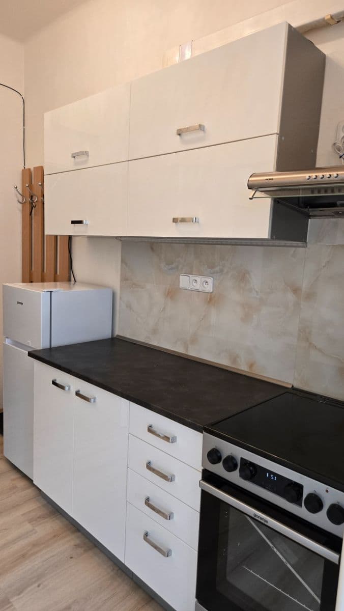 Pronájem bytu 1+kk 30 m², Vrchlického, Praha, Praha Pronájem bytu 1+kk 30 m², Vrchlického, Praha, Praha