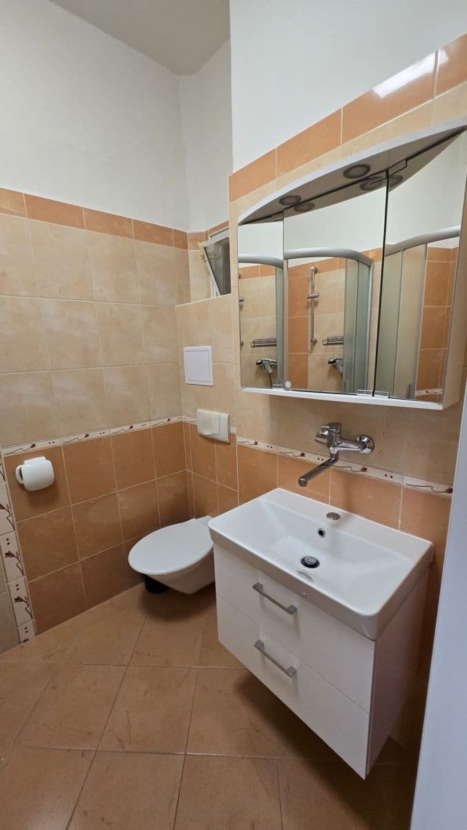 Pronájem bytu 1+kk 30 m², Vrchlického, Praha, Praha Pronájem bytu 1+kk 30 m², Vrchlického, Praha, Praha