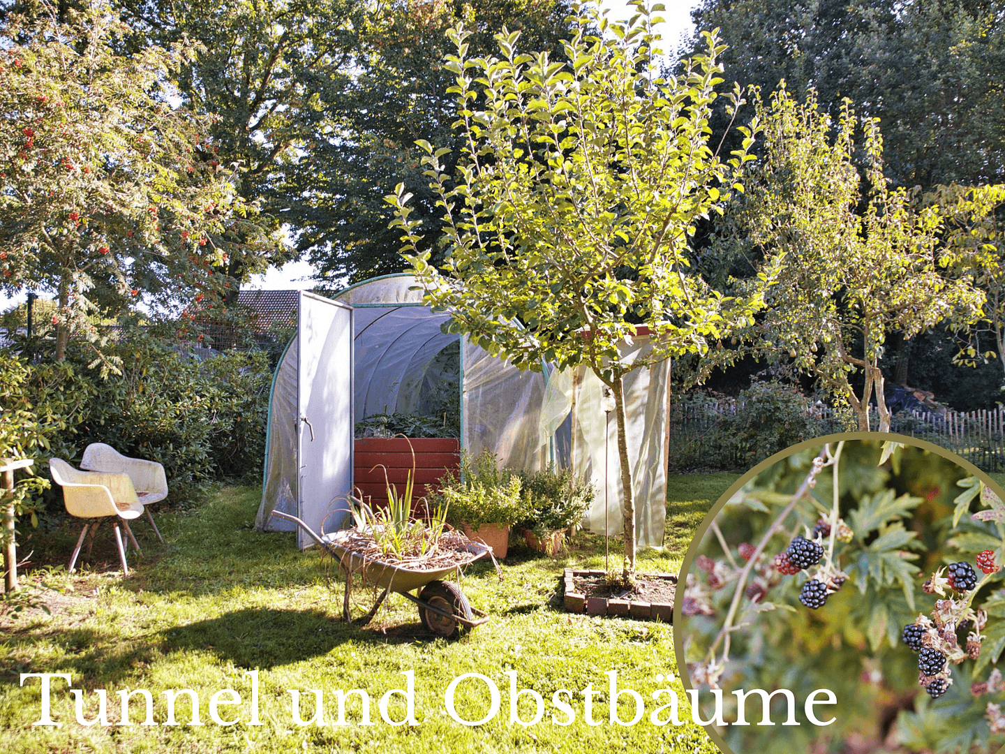 Prodej domu 209 m², pozemek 2.400 m², Bad Zwischenahn, Dolní Sasko Prodej domu 209 m², pozemek 2.400 m², Bad Zwischenahn, Dolní Sasko