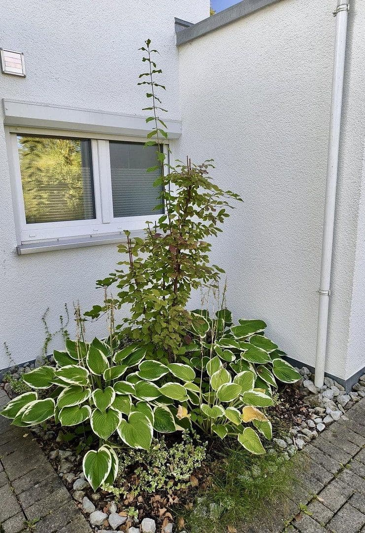 Prodej domu 111 m², pozemek 192 m², Altdorf, Bádensko-Württembersko Prodej domu 111 m², pozemek 192 m², Altdorf, Bádensko-Württembersko