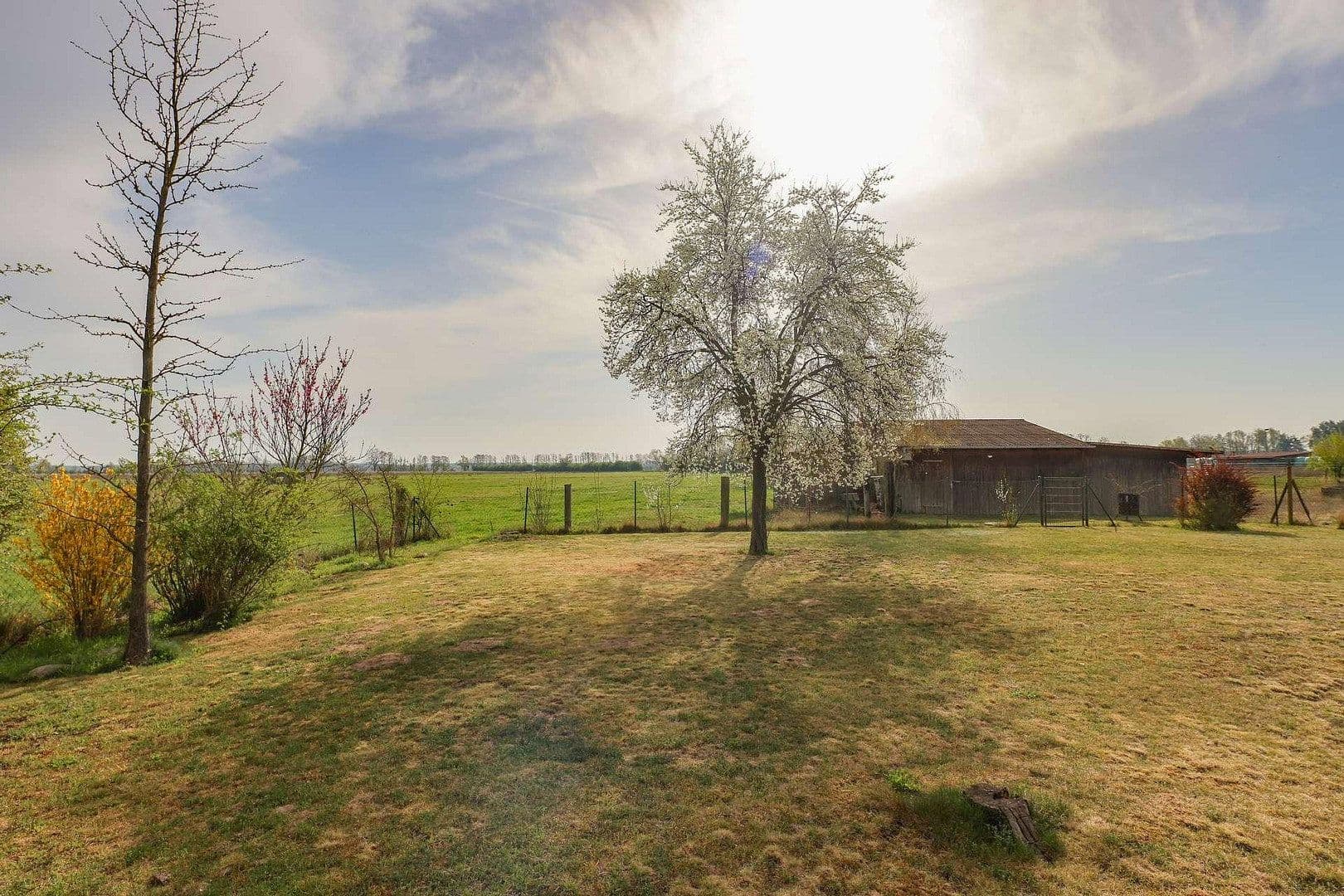 Prodej domu 144 m², pozemek 988 m², Beelitz, Braniborsko Prodej domu 144 m², pozemek 988 m², Beelitz, Braniborsko