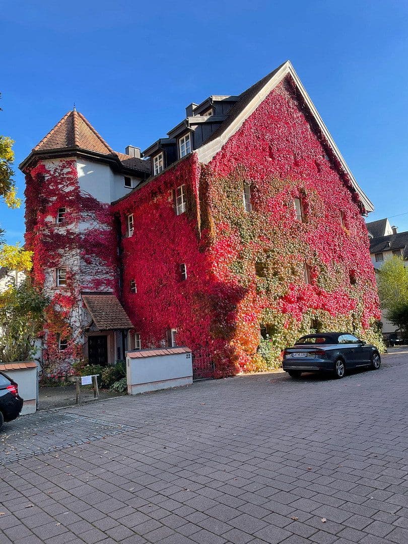 Pronájem bytu 3+1 100 m², Schopfheim, Bádensko-Württembersko Pronájem bytu 3+1 100 m², Schopfheim, Bádensko-Württembersko