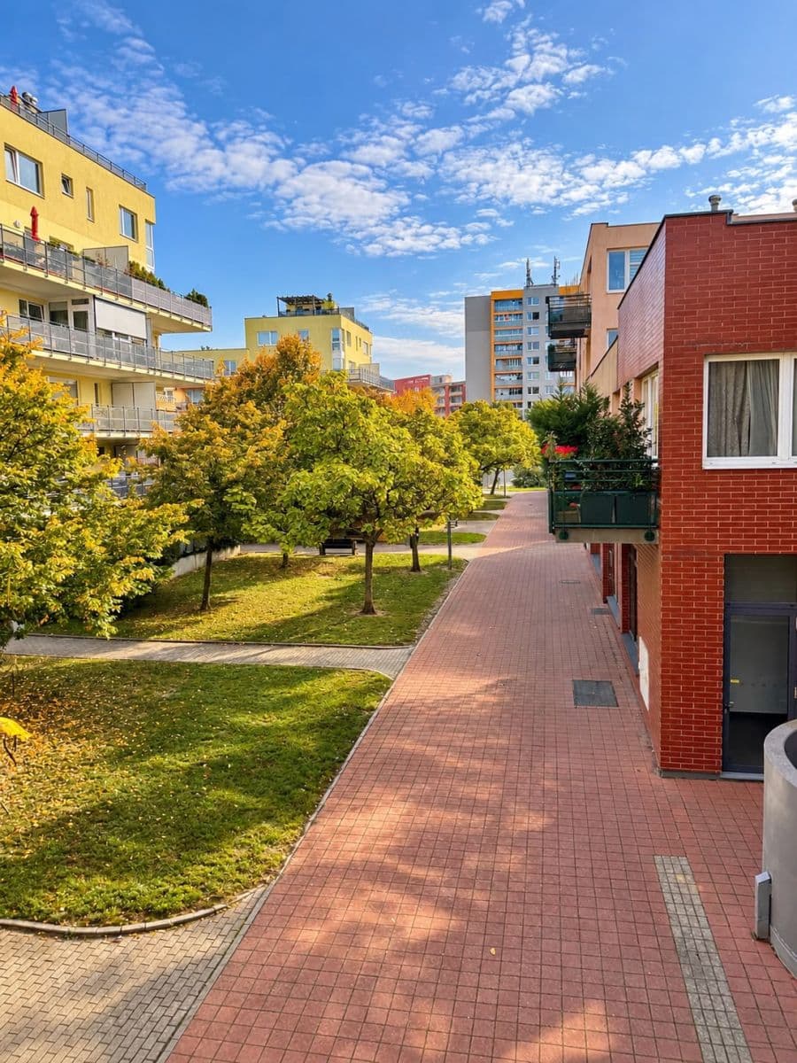 Pronájem bytu 3+kk 101 m², Voskovcova, Praha, Praha Pronájem bytu 3+kk 101 m², Voskovcova, Praha, Praha