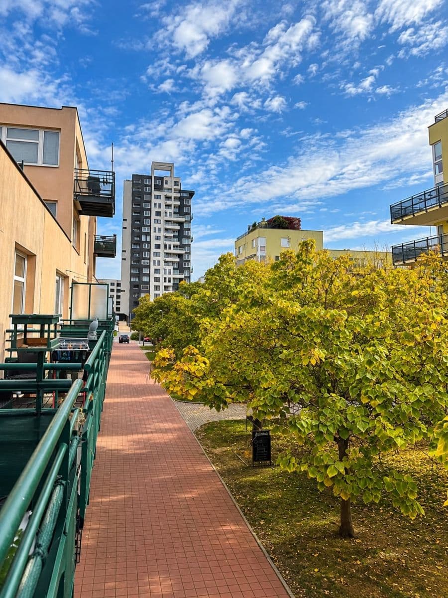 Pronájem bytu 3+kk 101 m², Voskovcova, Praha, Praha Pronájem bytu 3+kk 101 m², Voskovcova, Praha, Praha