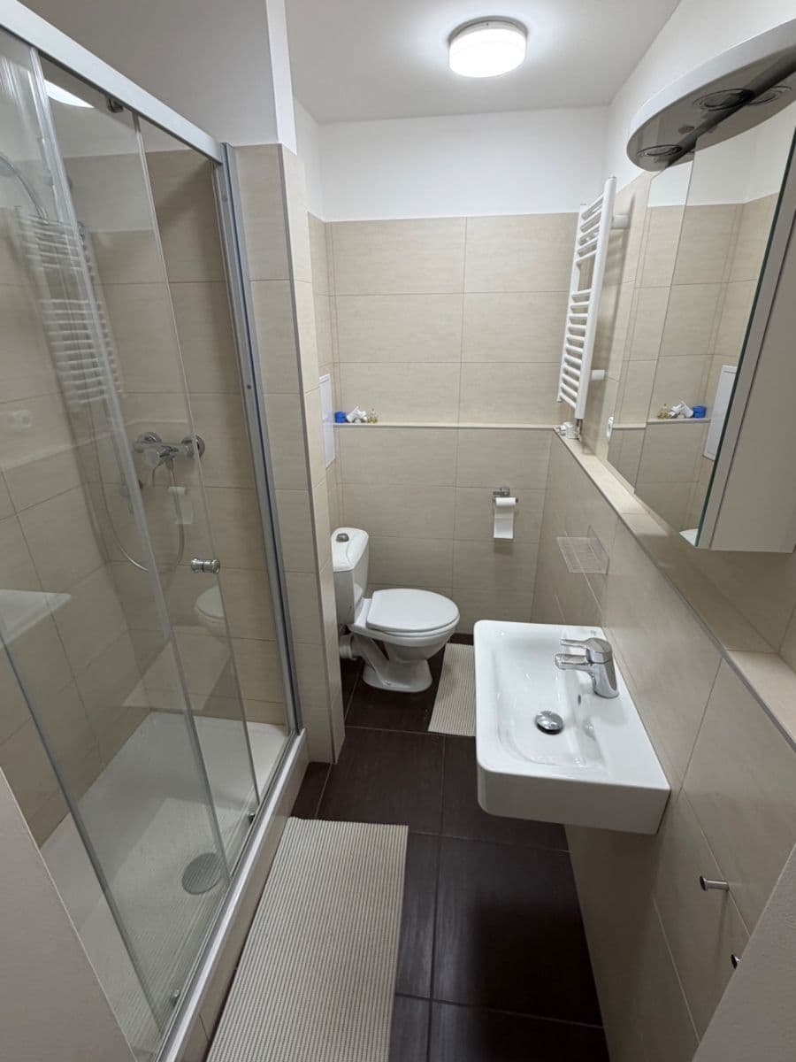 Pronájem bytu 2+1 45 m², Dreyerova, Praha, Praha Pronájem bytu 2+1 45 m², Dreyerova, Praha, Praha