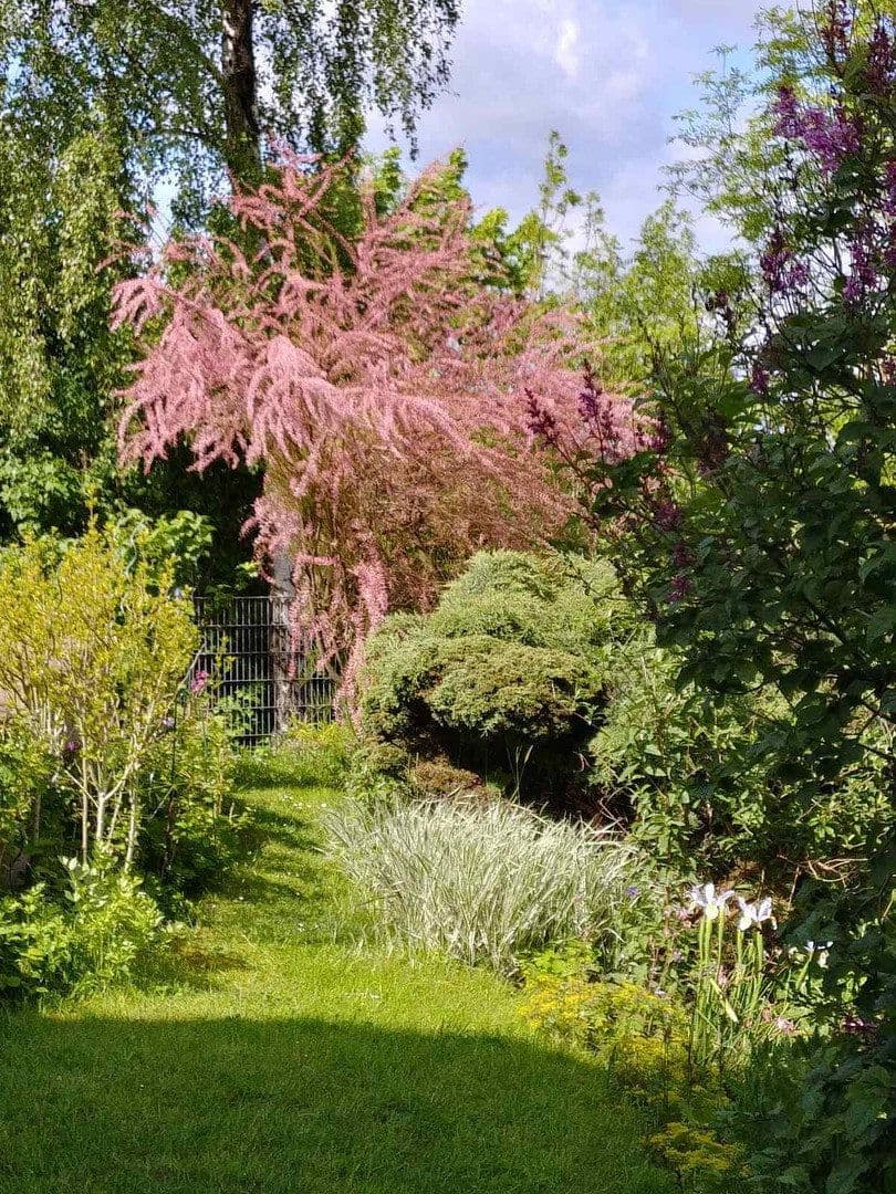 Prodej domu 155 m², pozemek 278 m², Witten, Severní Porýní-Vestfálsko Prodej domu 155 m², pozemek 278 m², Witten, Severní Porýní-Vestfálsko