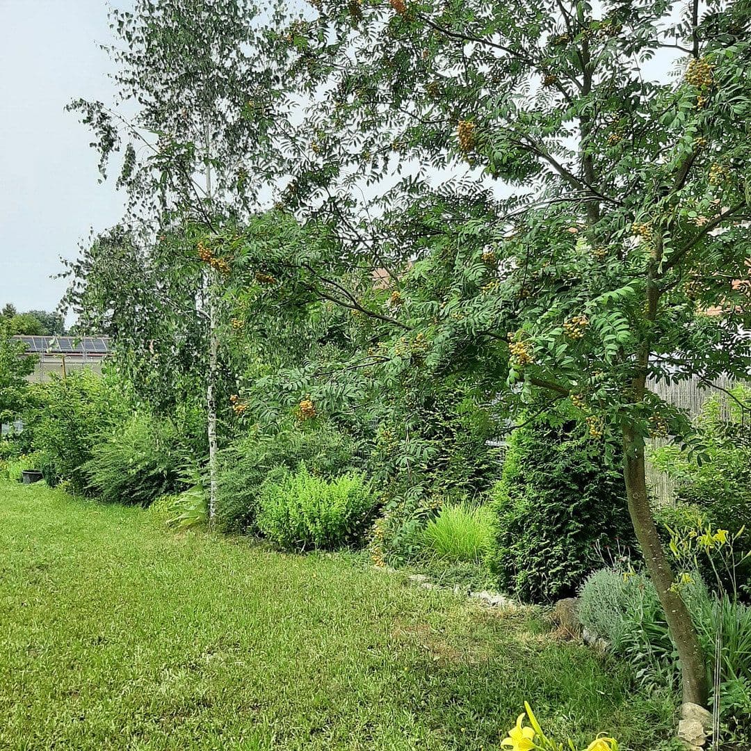 Prodej domu 235 m², pozemek 1.333 m², Kitzingen, Bavorsko Prodej domu 235 m², pozemek 1.333 m², Kitzingen, Bavorsko
