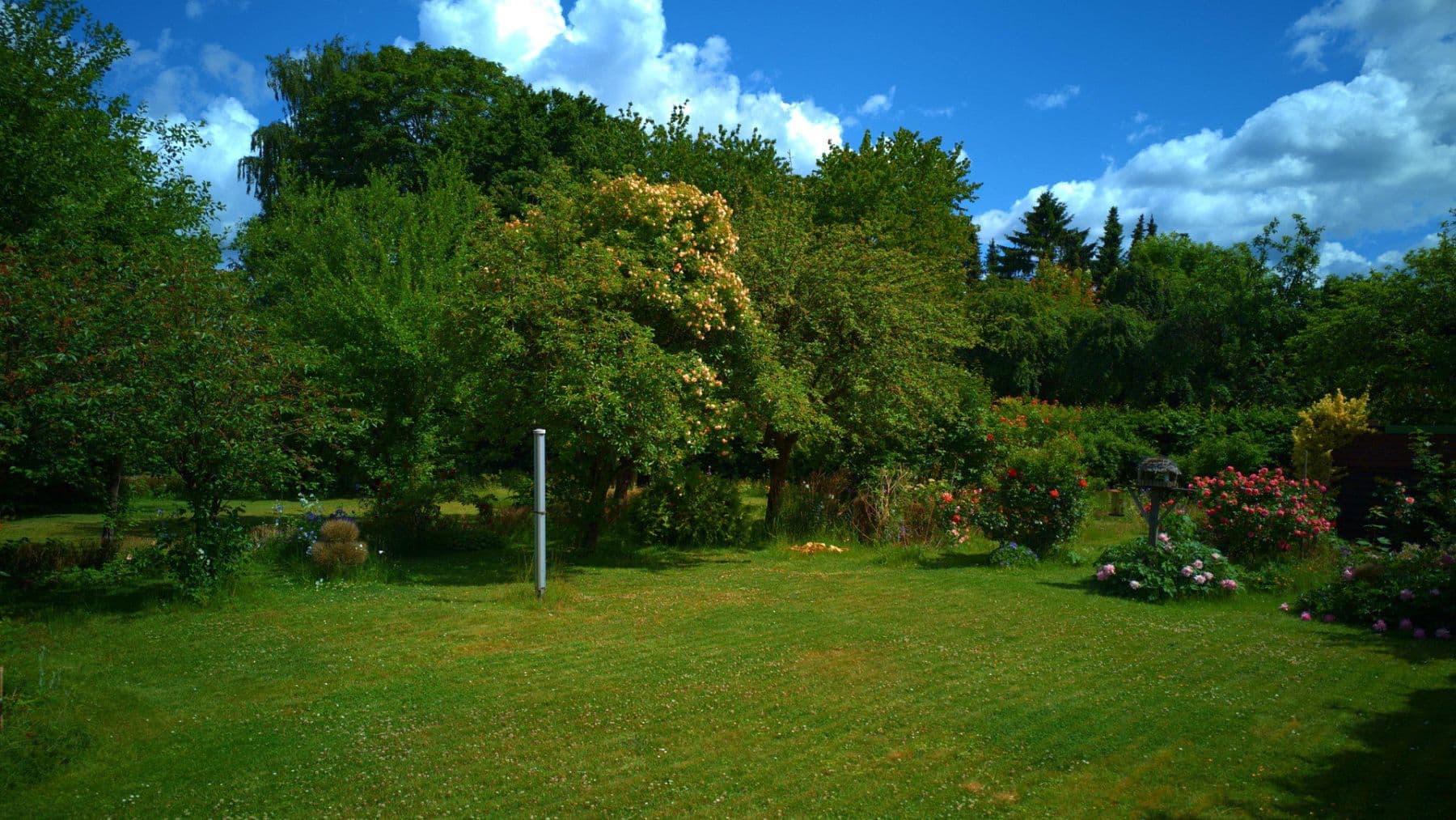 Prodej domu 138 m², pozemek 925 m², Hasselbusch 24, Bargteheide, Šlesvicko-Holštýnsko Prodej domu 138 m², pozemek 925 m², Hasselbusch 24, Bargteheide, Šlesvicko-Holštýnsko