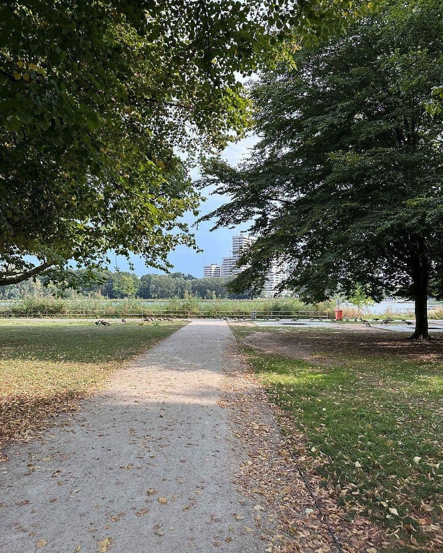 Pronájem bytu 2+1 37 m², Nürnberg, Bavorsko Pronájem bytu 2+1 37 m², Nürnberg, Bavorsko