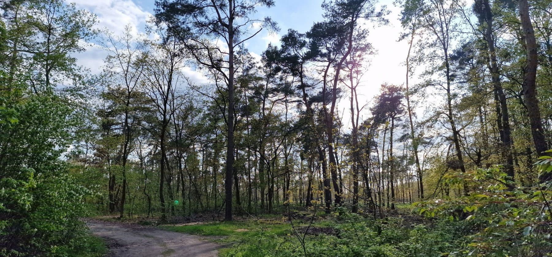 Pronájem domu 148 m², pozemek 100 m², Brandenburg an der Havel, Braniborsko Pronájem domu 148 m², pozemek 100 m², Brandenburg an der Havel, Braniborsko