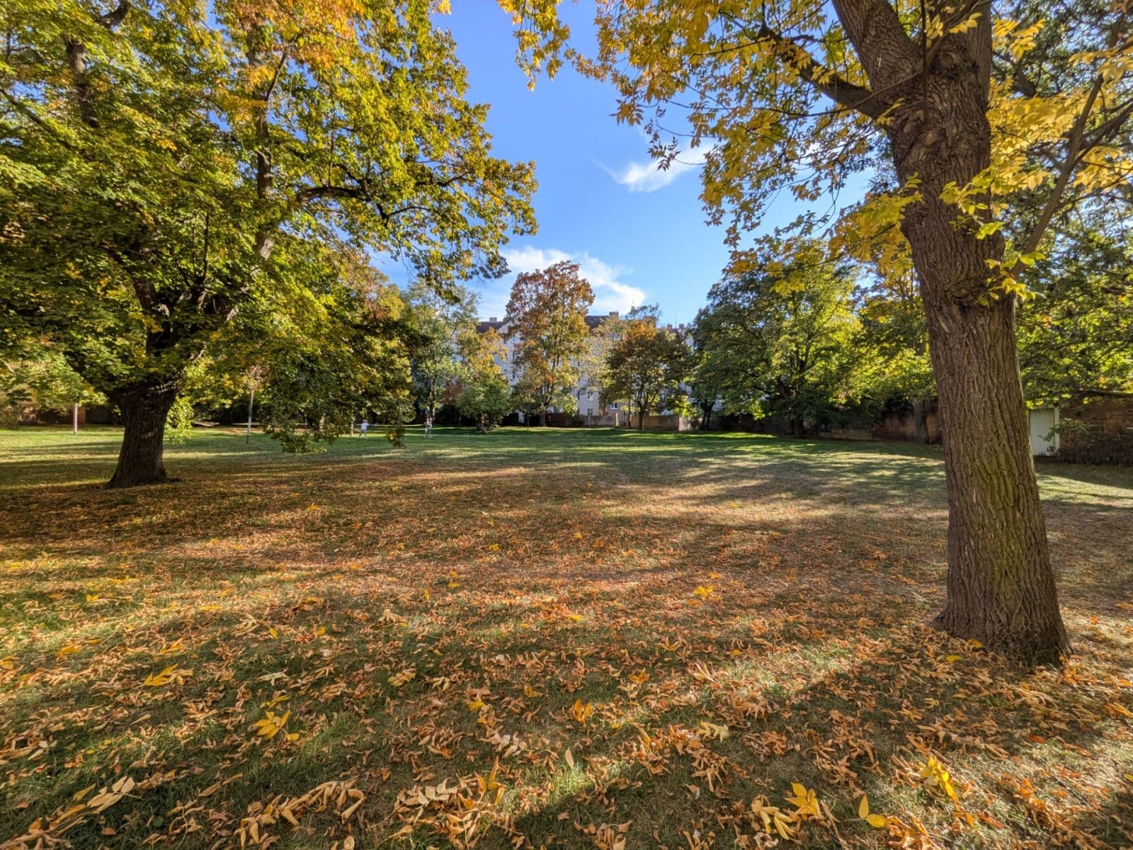 Pronájem bytu 2+1 56 m², Stehlíkova, Plzeň, Plzeňský kraj Pronájem bytu 2+1 56 m², Stehlíkova, Plzeň, Plzeňský kraj