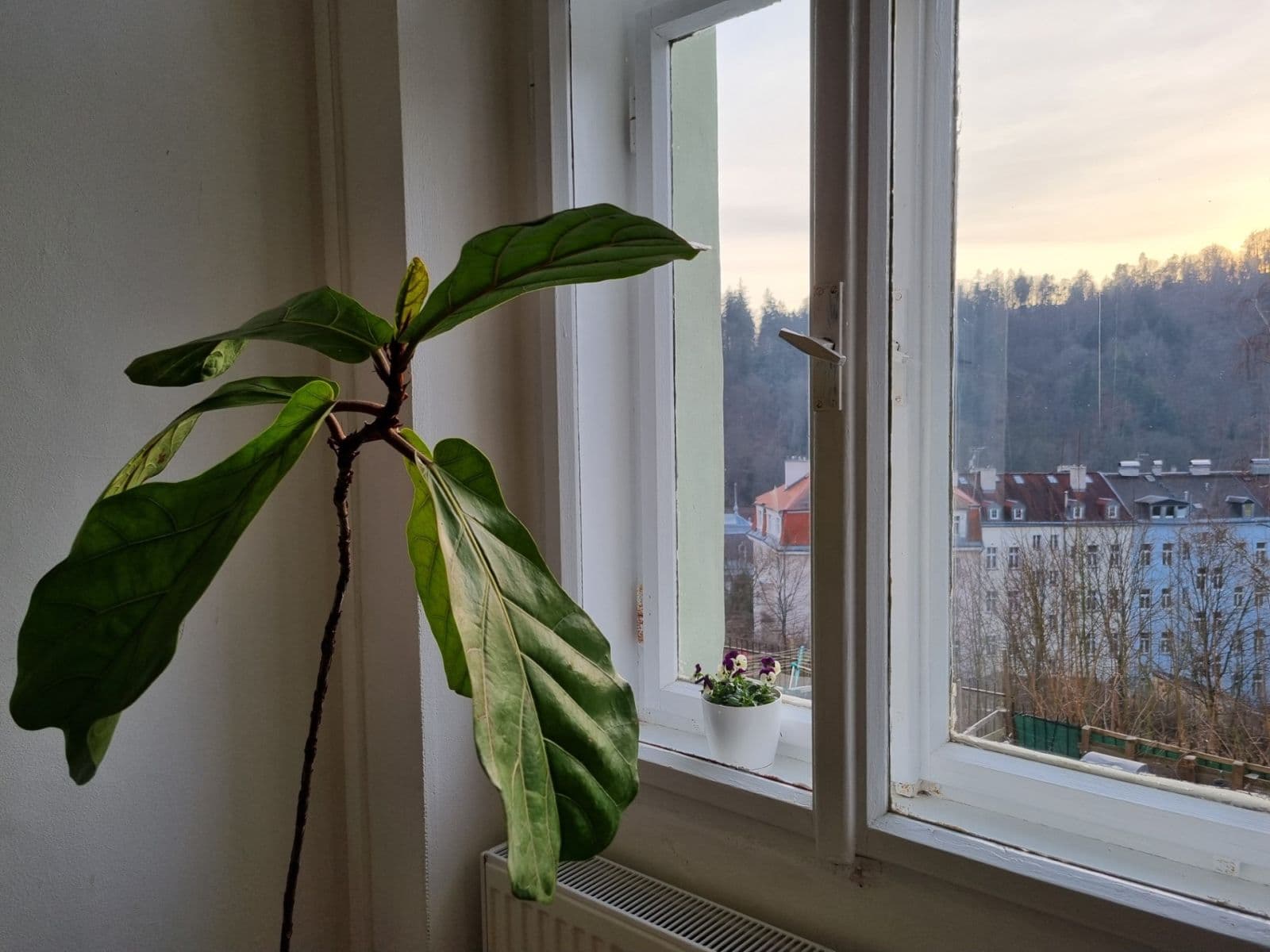 Pronájem bytu 2+1 62 m², Nebozízek, Karlovy Vary, Karlovarský kraj Pronájem bytu 2+1 62 m², Nebozízek, Karlovy Vary, Karlovarský kraj