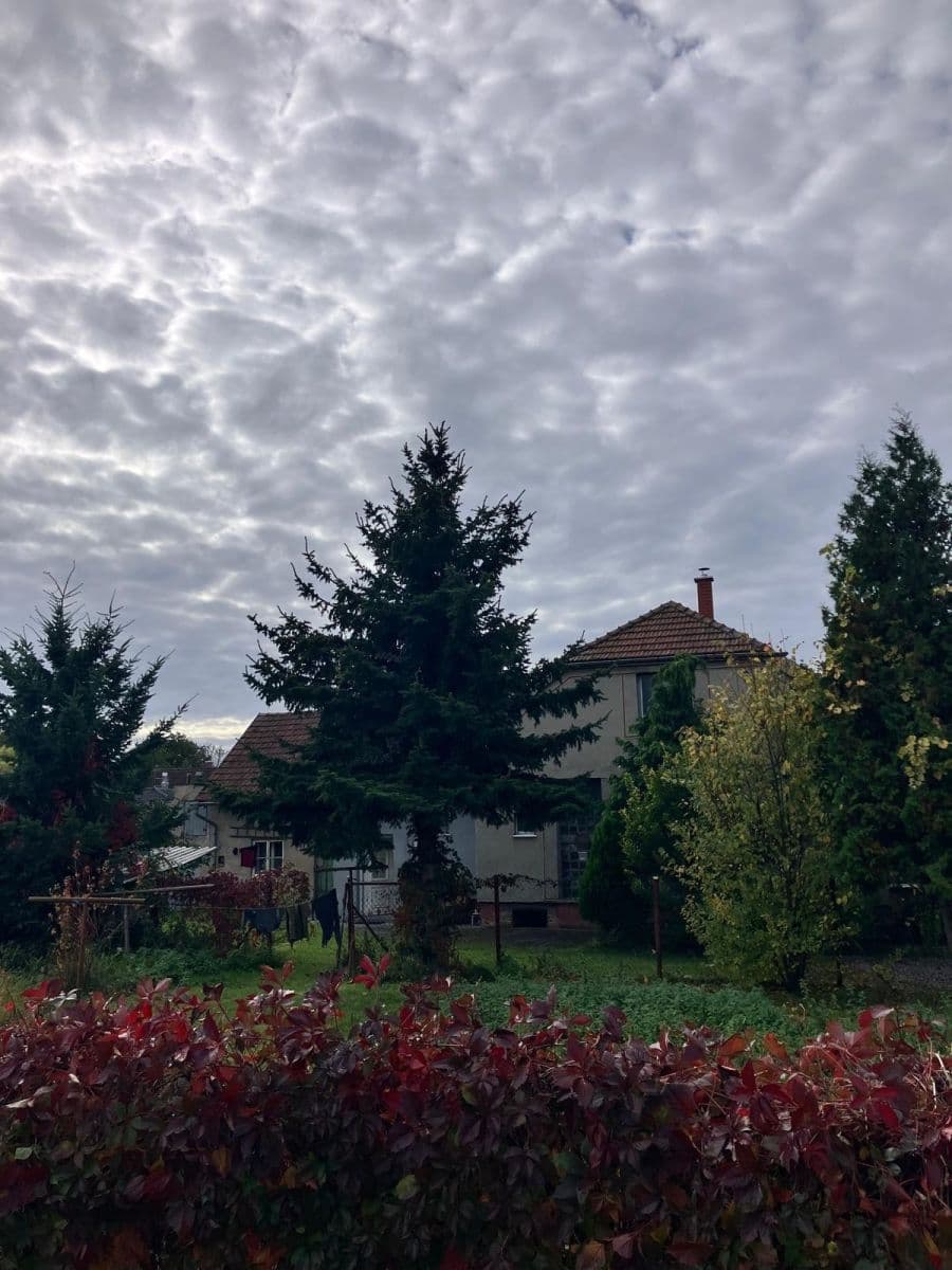 Prodej domu 196 m², pozemek 880 m², Sokolečská, Poděbrady, Středočeský kraj Prodej domu 196 m², pozemek 880 m², Sokolečská, Poděbrady, Středočeský kraj