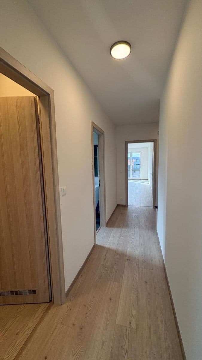 Pronájem bytu 2+kk 62 m², Dolnobranská, Praha, Praha Pronájem bytu 2+kk 62 m², Dolnobranská, Praha, Praha