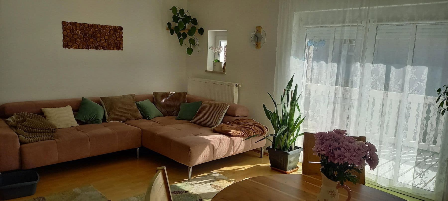 Prodej domu 147 m², pozemek 279 m², Bogen, Bavorsko Prodej domu 147 m², pozemek 279 m², Bogen, Bavorsko