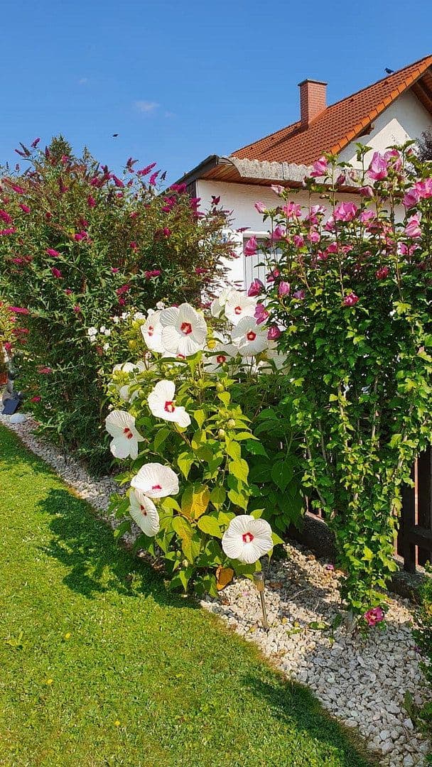 Prodej domu 72 m², pozemek 448 m², Obere Rettenbachstraße 44, Vilsbiburg, Bavorsko Prodej domu 72 m², pozemek 448 m², Obere Rettenbachstraße 44, Vilsbiburg, Bavorsko