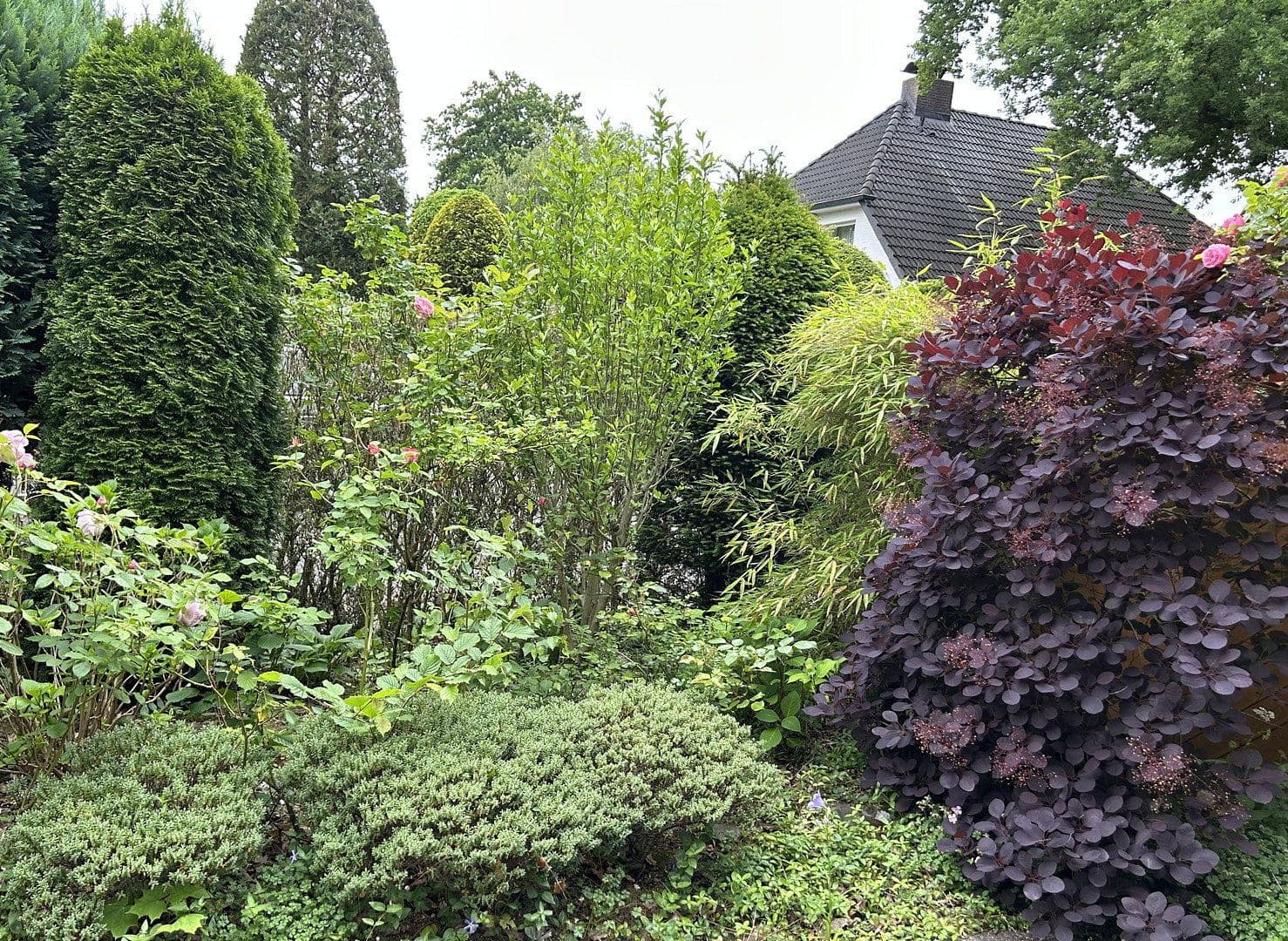 Prodej domu 100 m², pozemek 325 m², Elfenbeinweg 18, Hamburg, Hamburg Prodej domu 100 m², pozemek 325 m², Elfenbeinweg 18, Hamburg, Hamburg