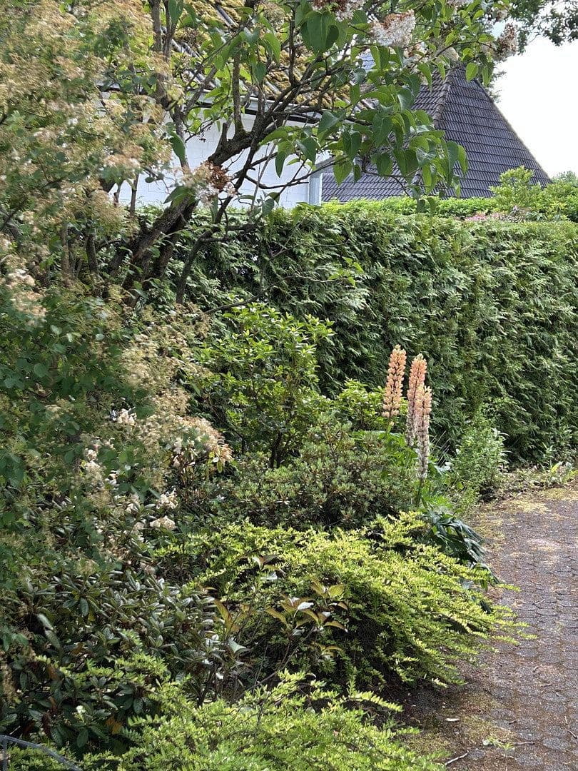 Prodej domu 100 m², pozemek 325 m², Elfenbeinweg 18, Hamburg, Hamburg Prodej domu 100 m², pozemek 325 m², Elfenbeinweg 18, Hamburg, Hamburg