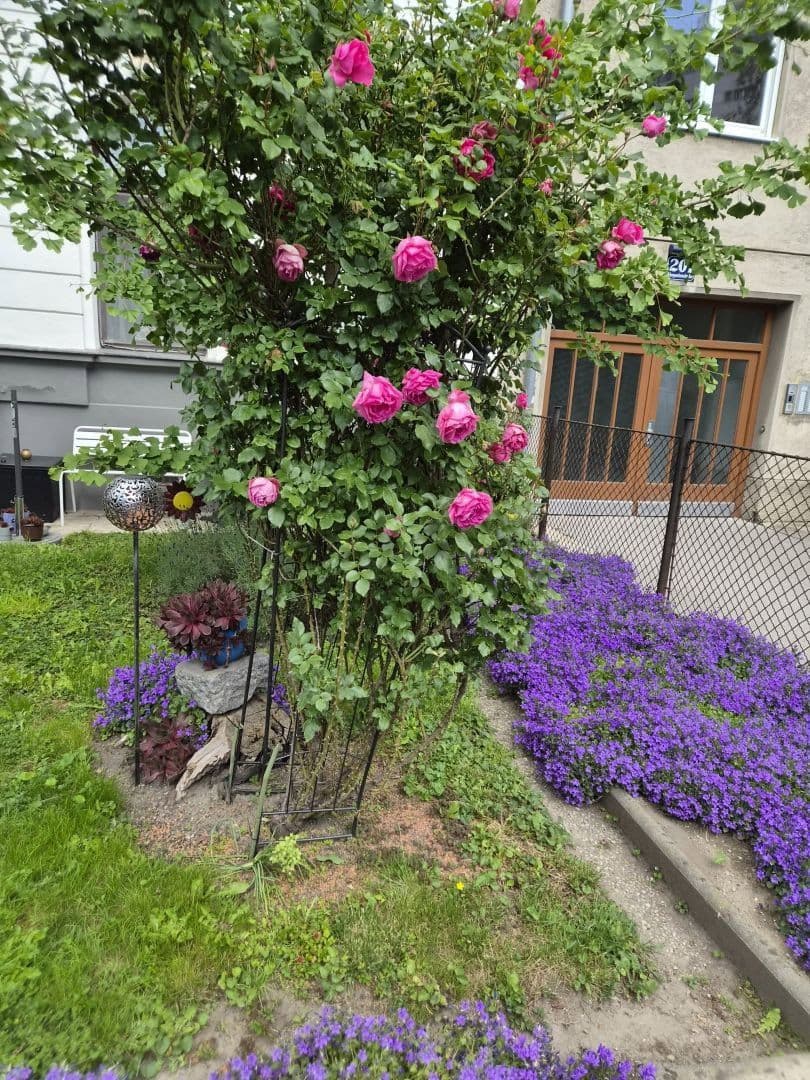 Prodej bytu 3+1 46 m², Stuwerviertel, Wien, Wien Prodej bytu 3+1 46 m², Stuwerviertel, Wien, Wien