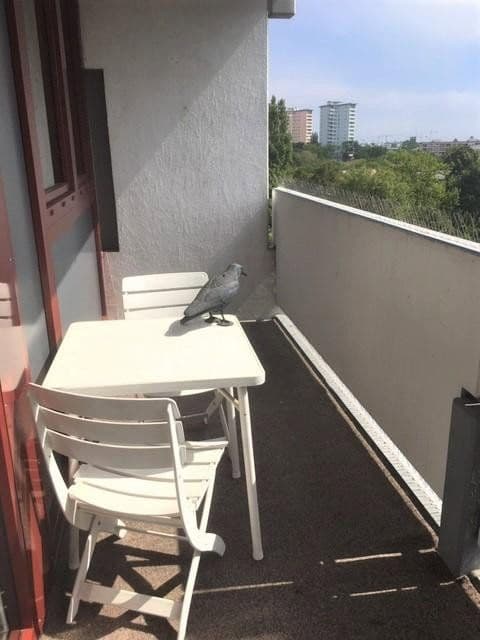 Pronájem bytu 2+1 67 m², München, Bavorsko Pronájem bytu 2+1 67 m², München, Bavorsko