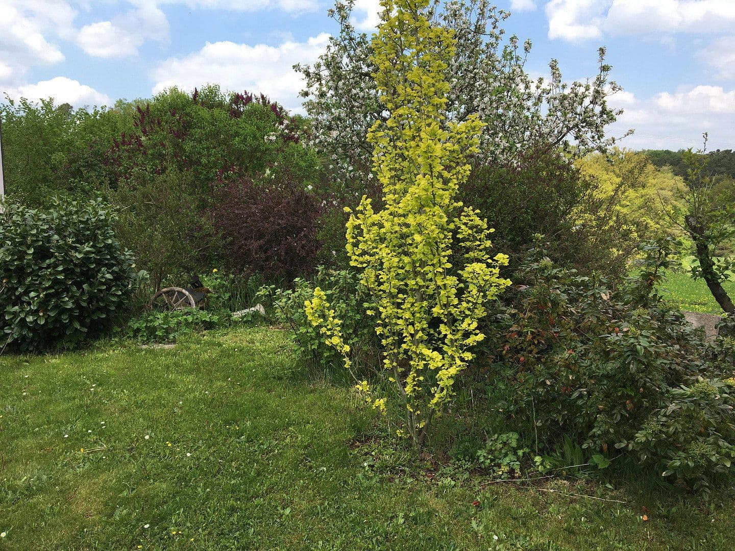 Prodej domu 271 m², pozemek 696 m², Roßtal, Bavorsko Prodej domu 271 m², pozemek 696 m², Roßtal, Bavorsko