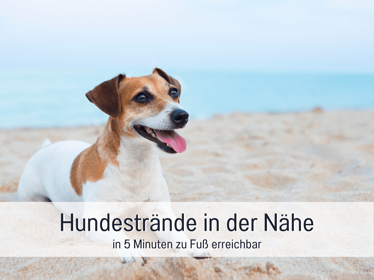 Prodej bytu 4+1 98 m², Ringstraße 4, Sassnitz, Mecklenburg-Vorpommern Prodej bytu 4+1 98 m², Ringstraße 4, Sassnitz, Mecklenburg-Vorpommern
