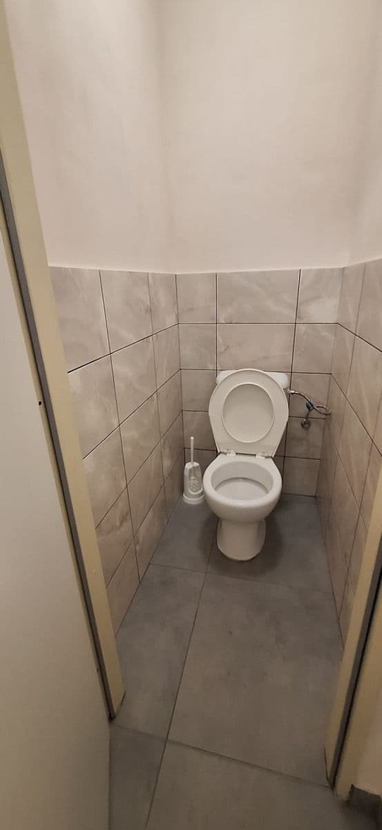Pronájem nebytového prostoru 126 m², Vlastina, Praha, Praha Pronájem nebytového prostoru 126 m², Vlastina, Praha, Praha