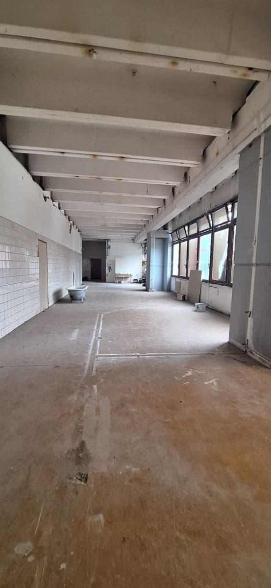 Pronájem nebytového prostoru 126 m², Vlastina, Praha, Praha Pronájem nebytového prostoru 126 m², Vlastina, Praha, Praha
