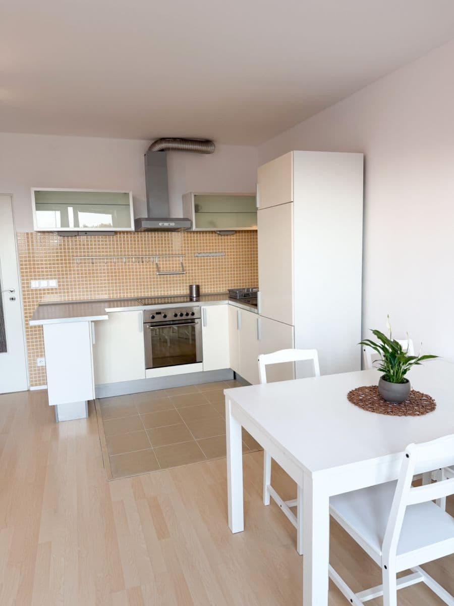 Pronájem bytu 1+kk 42 m², Novobohdalecká, Praha, Praha Pronájem bytu 1+kk 42 m², Novobohdalecká, Praha, Praha