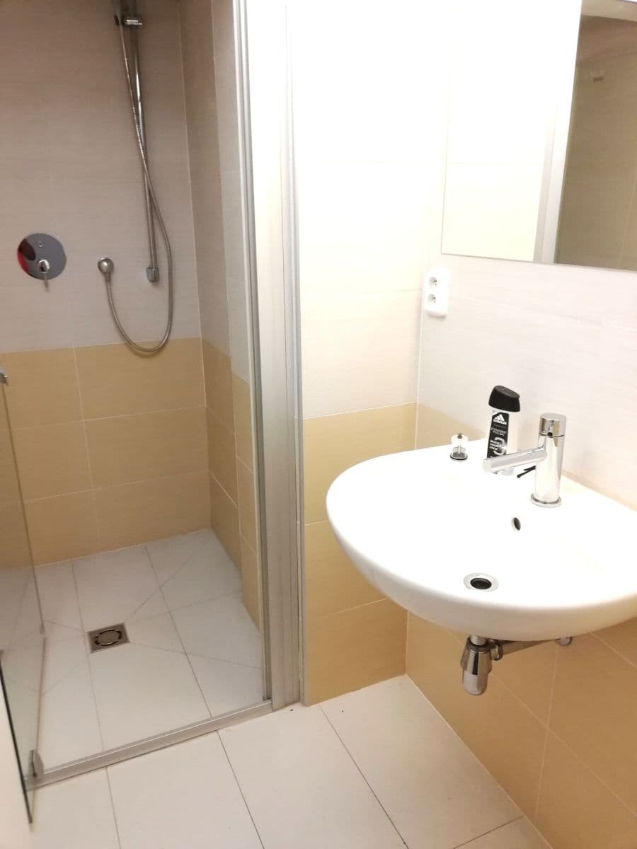 Pronájem bytu 2+1 88 m², Na Třebešíně, Praha, Praha Pronájem bytu 2+1 88 m², Na Třebešíně, Praha, Praha
