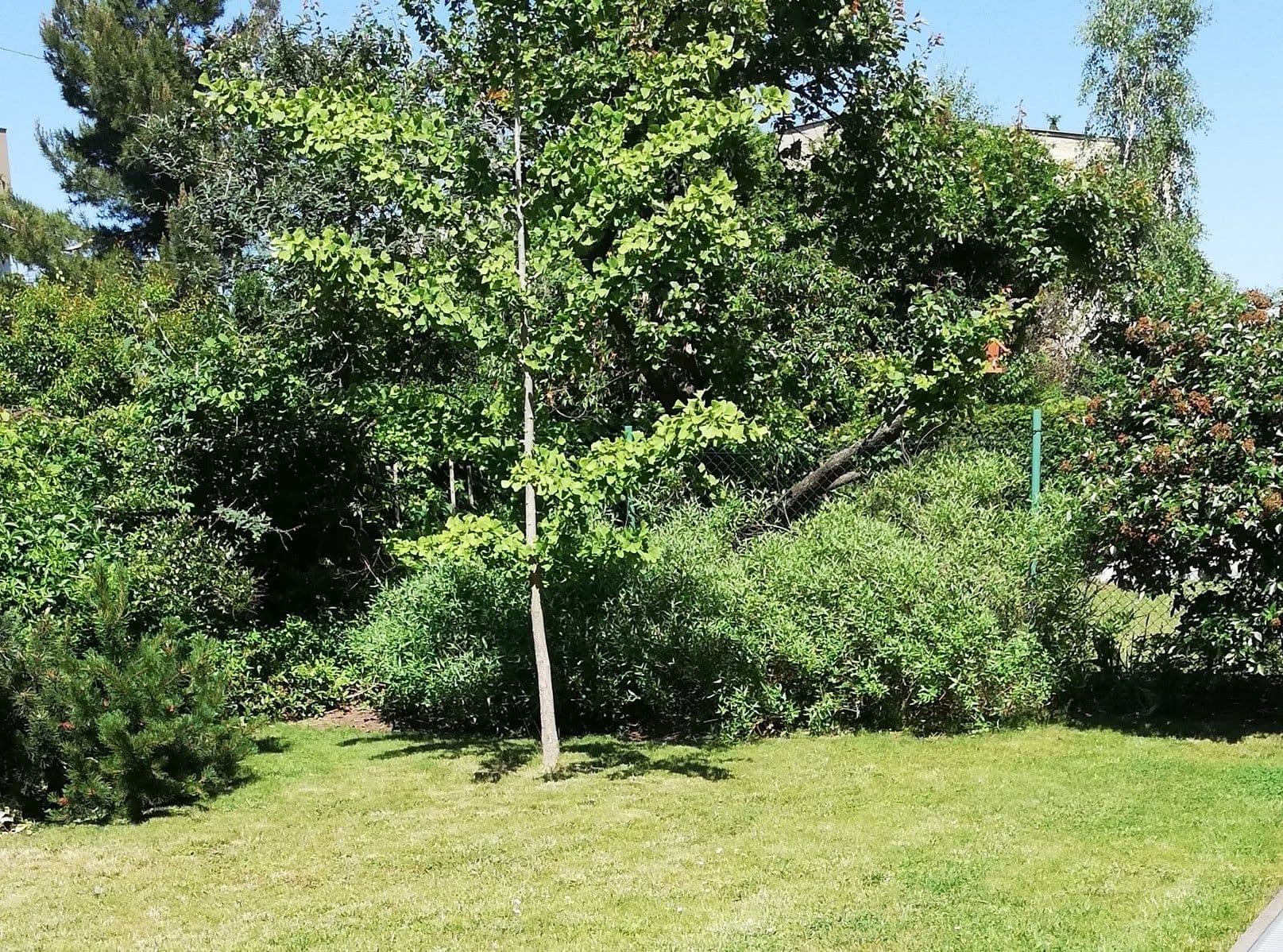Pronájem bytu 2+1 88 m², Na Třebešíně, Praha, Praha Pronájem bytu 2+1 88 m², Na Třebešíně, Praha, Praha