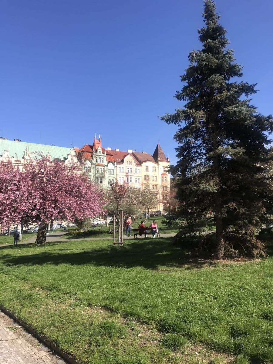 Pronájem bytu 53 m², náměstí Generála Kutlvašra, Praha, Praha Pronájem bytu 53 m², náměstí Generála Kutlvašra, Praha, Praha
