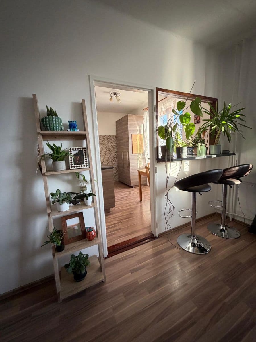 Pronájem bytu 2+1 53 m², Pod Lipami, Praha, Praha Pronájem bytu 2+1 53 m², Pod Lipami, Praha, Praha