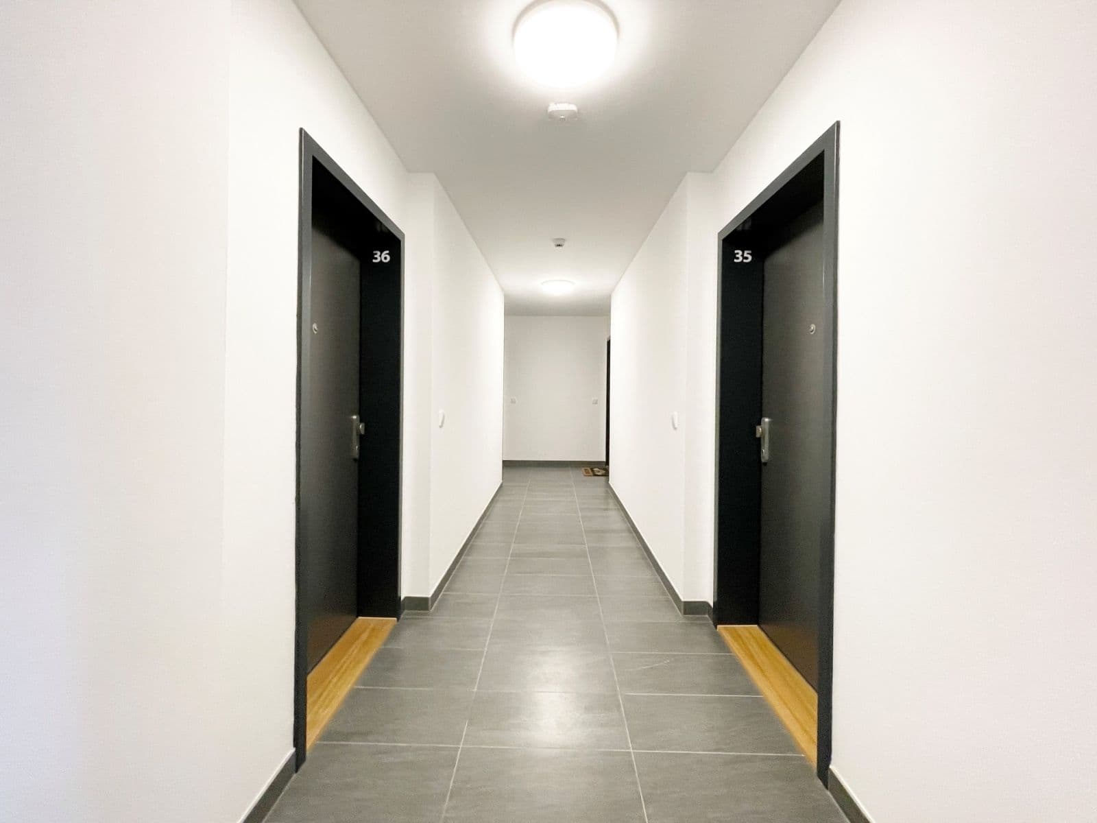 Pronájem bytu 1+kk 32 m², Olgy Havlové, Praha, Praha Pronájem bytu 1+kk 32 m², Olgy Havlové, Praha, Praha