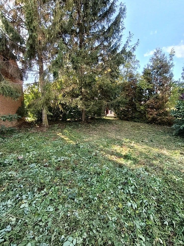 Prodej pozemku 1.232 m², Hluchov, Olomoucký kraj Prodej pozemku 1.232 m², Hluchov, Olomoucký kraj